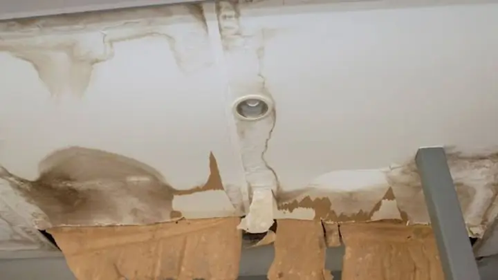 Stained ceiling around a recessed light after a leak
