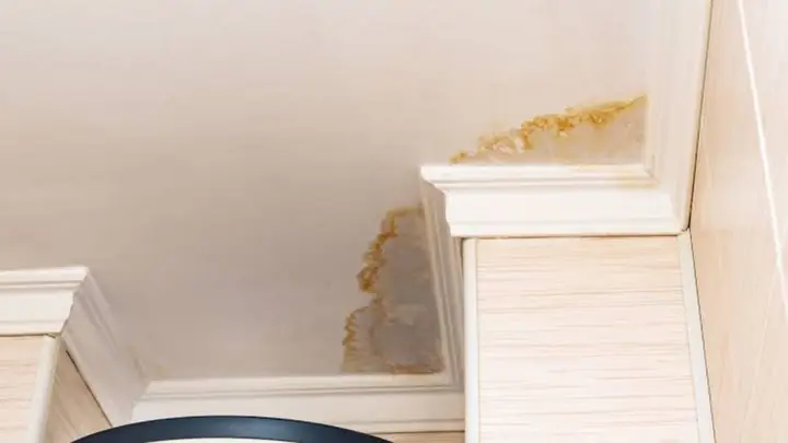 Yellow water stain on a ceiling near crown molding