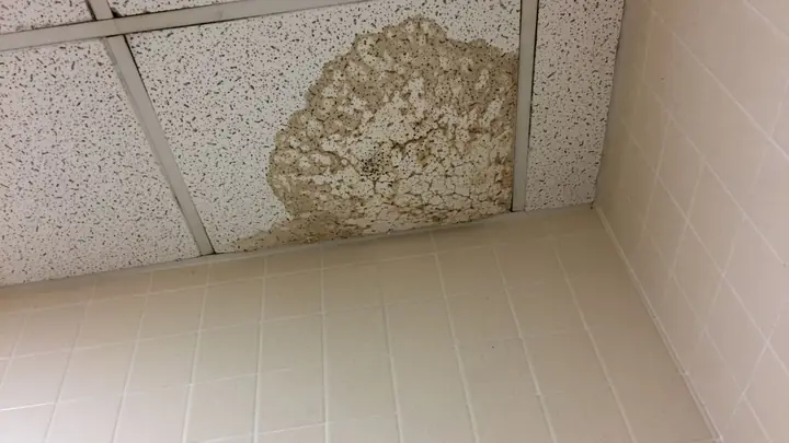 Water stain on a ceiling tile