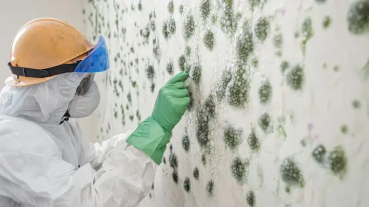 Worker in a protective suit examining mold spots on a wall