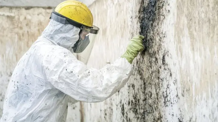 Worker in a protective suit and hard hat examining a mold-stained wall
