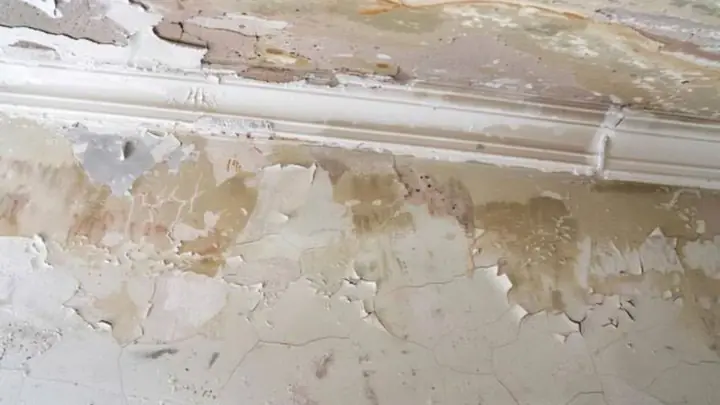 Peeling paint and plaster along a ceiling edge