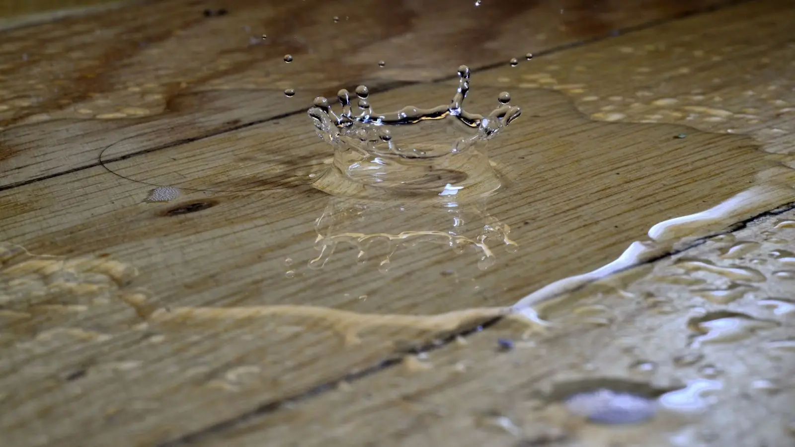 Water drops on wood floor planks
